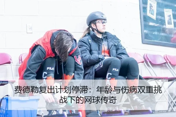 fei-de-lei-fu-chu-ji-hua-ting-zhi-nian-ling-yu-shang-bing-shuang-chong-tiao-zhan-xia-de-wang-qiu-chuan-qi-3-482.jpg